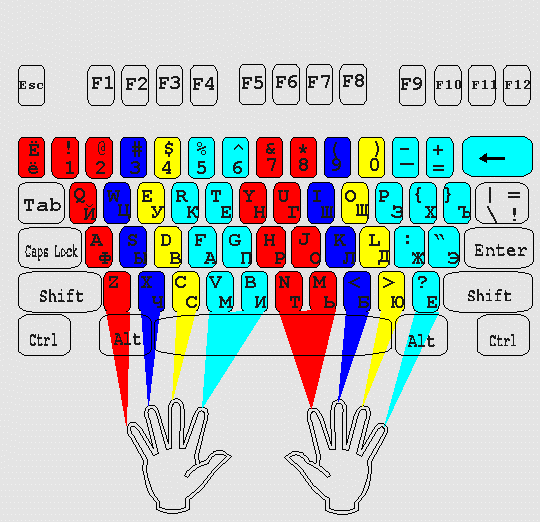 Расположение рук на клавиатуре при слепой печати